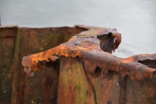 Excursie Oostvoornsemeer