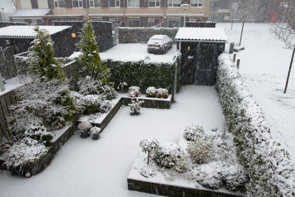 Sneeuw!